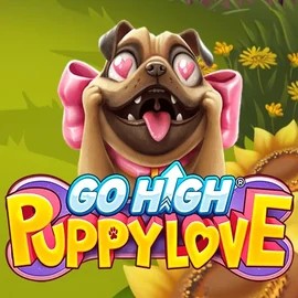 Play the Go High Puppy Love slot by RubyPlay on Spinorhino Casino